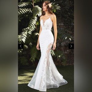 Cinderella Divine Bridals - CD937W Embroidered V Neck Mermaid Gown - BRAND NEW.
